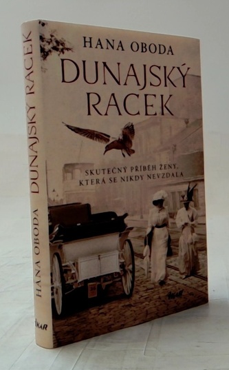 Dunajský racek