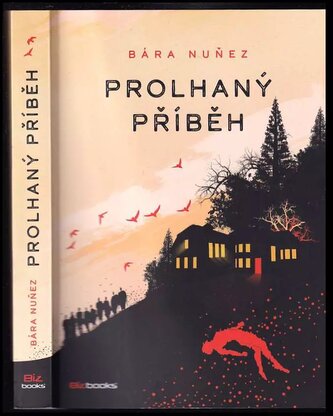 Prolhaný příběh (Nuňez Bára, 2022)