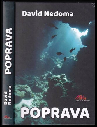 Poprava (David Nedoma, 2022)