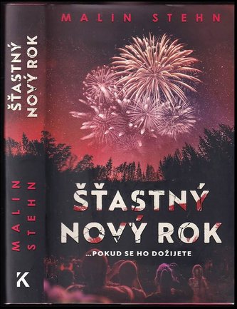 Šťastný nový rok (Malin Maria Stehn, 2022)