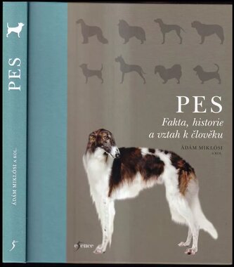 Pes (Claudia Fugazza, 2019)