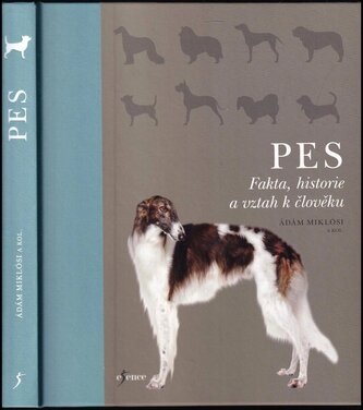 Pes (Claudia Fugazza, 2019)