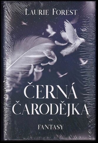 Černá čarodějka (Laurie Forest, 2019)