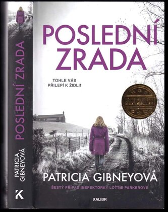 Poslední zrada : 6 (Patricia Gibney, 2023)