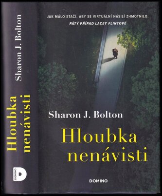 Hloubka nenávisti (S. J Bolton, 2023)