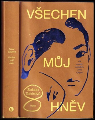 Všechen můj hněv