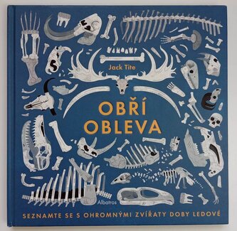 Obří obleva (Jack Tite, 2019)