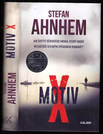 Motiv X (Stefan Ahnhem, 2019)