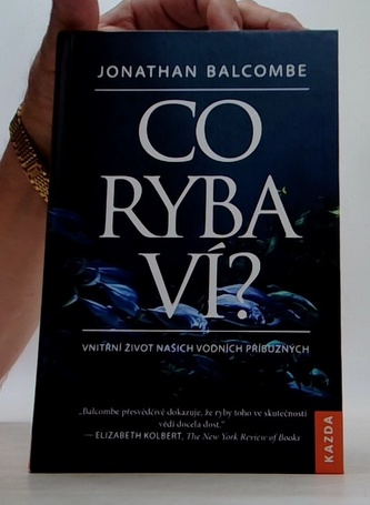 Co ryba ví? - Vnitřní život našich vodních příbuzných