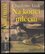 Na konci mlčení : [román ze současnosti] (Charlotte Link, 2007)