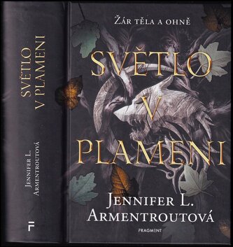 Světlo v plameni : Žár těla a ohně - 2 (Jennifer L Armentrout, 2023)