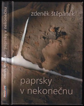 Paprsky v nekonečnu : [básně z let 1997-2007] (Zdeněk Štěpánek, 2007)