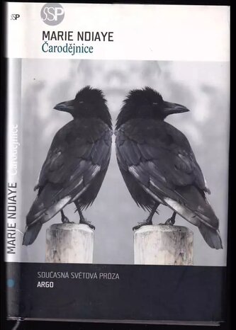 Čarodějnice (Marie NDiaye, 2007)