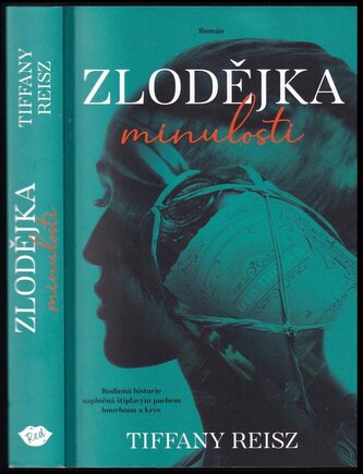 Zlodějka minulosti (Tiffany Reisz, 2024)