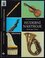 Hudební nástroje : evropské hudební kultury (Bohuslav Čížek, 2004)