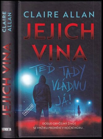 Jejich vina (Claire Allan, 2024)