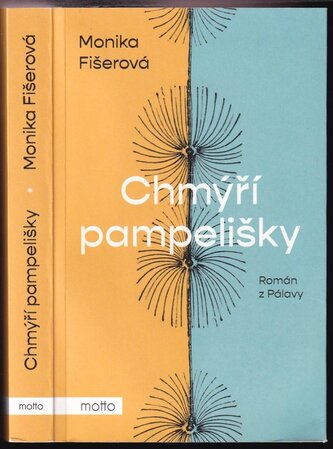 Chmýří pampelišky (Monika Fišerová, 2024)