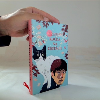 Kočka na cestách