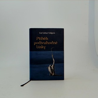 Příběh podivuhodné lásky