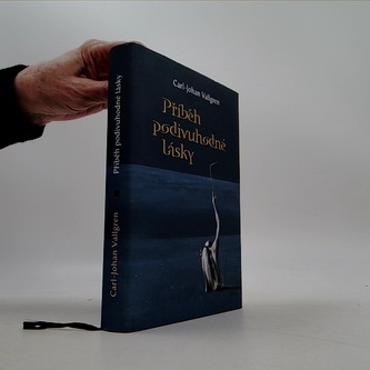 Příběh podivuhodné lásky