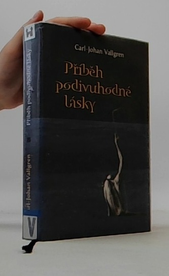Příběh podivuhodné lásky