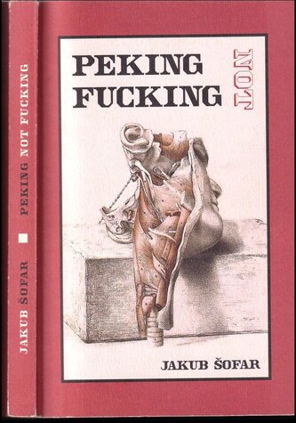 Peking not fucking : koláč infantilních pokusů s elektřinou (Jakub Šofar, 2008)