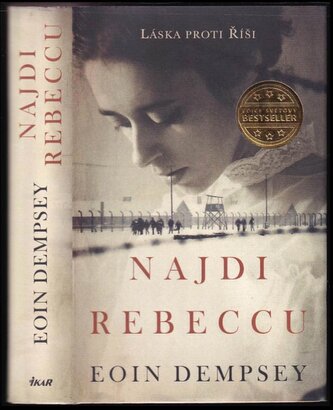 Najdi Rebeccu (Eoin Dempsey, 2020)