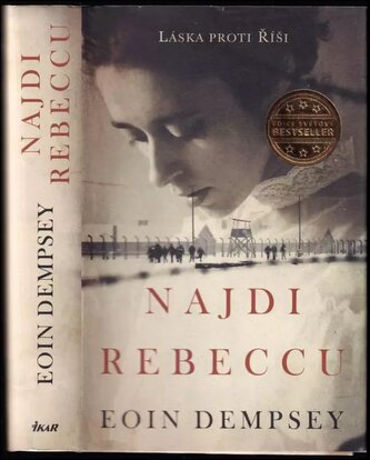 Najdi Rebeccu (Eoin Dempsey, 2020)