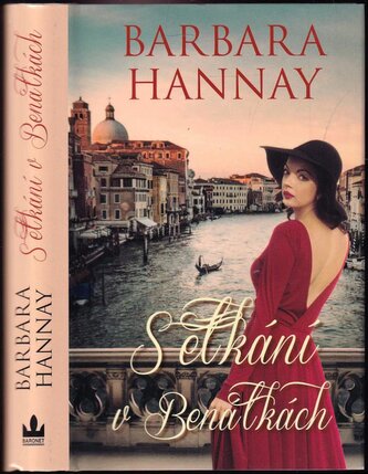 Setkání v Benátkách (Barbara Hannay, 2020)