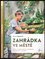 Zahrádka ve městě : zeleň v předzahrádkách, vnitroblocích, na balkonech a terasách (Silvia Appel, 2020)
