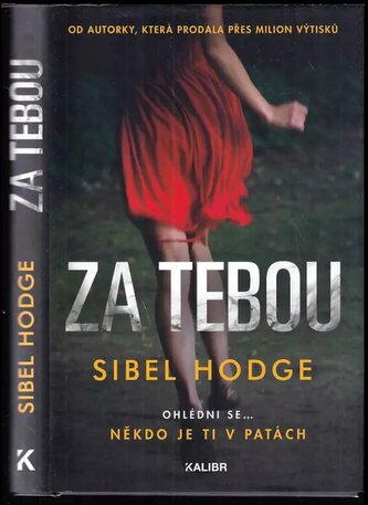 Za tebou (Sibel Hodge, 2020)
