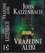 Vražedné alibi (John Katzenbach, 2008)