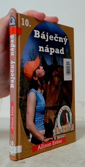 Stříbrné podkovy 10 Báječný nápad