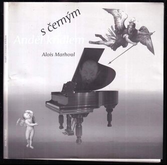 Anděl s černým křídlem (Alois Marhoul, 2009)