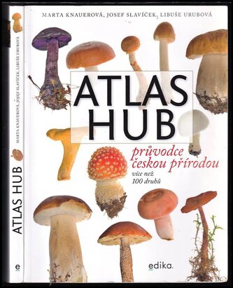Atlas hub (Marta Knauerová, 2020)