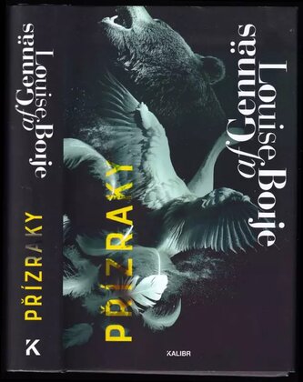 Přízraky (Louise Boije af Gennäs, 2020)