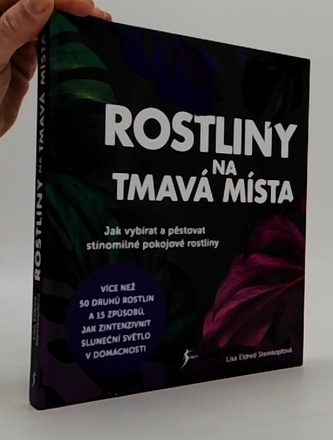 Rostliny na tmavá místa