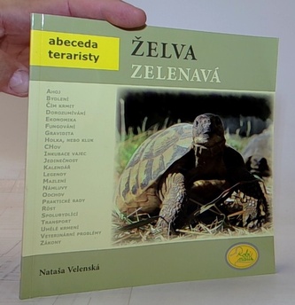 Želva zelenavá