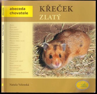 Křeček zlatý