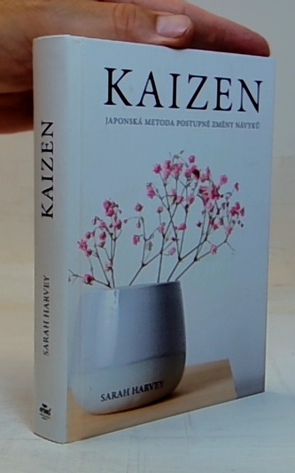 Kaizen Japonská metoda postupné změny návyků