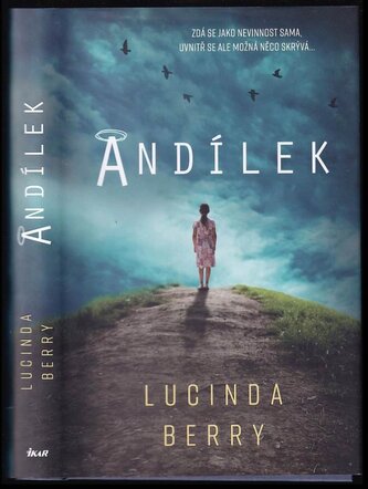 Andílek (Lucinda Berry, 2020)