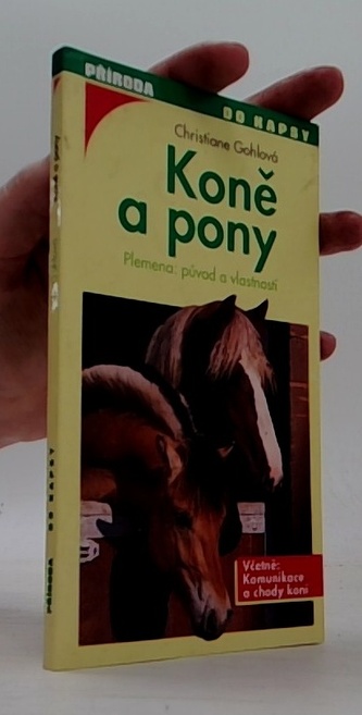 Koně a pony
