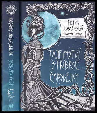 Tajemství stříbrné čarodějky (Petra Kubašková, 2020)