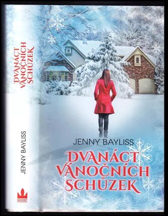Dvanáct vánočních schůzek (Jenny Bayliss, 2020)