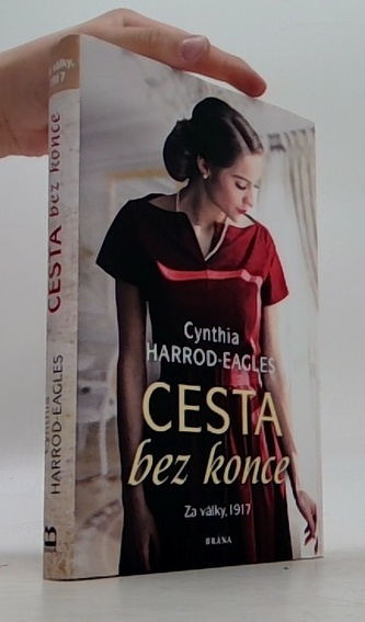 Za války, 1917: Cesta bez konce