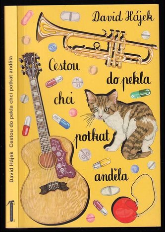 Cestou do pekla chci potkat anděla (David Hájek, 2020)