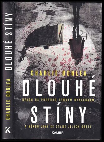 Dlouhé stíny (Charlie Donlea, 2020)