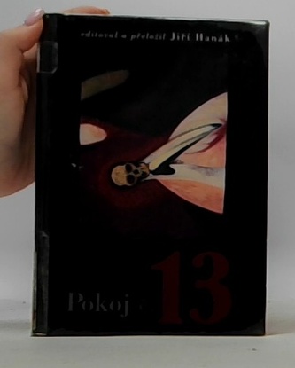 Pokoj č.13