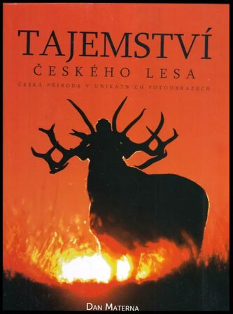 Tajemství českého lesa : [česká příroda v unikátních fotoobrazech (Dan Materna, 2009)