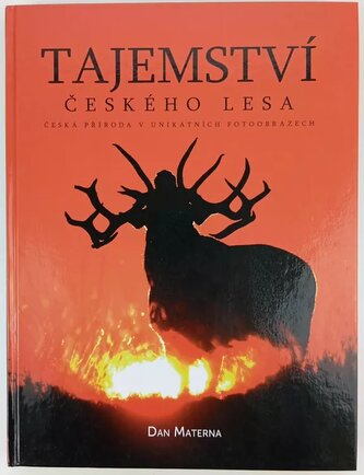 Tajemství českého lesa : [česká příroda v unikátních fotoobrazech (Dan Materna, 2009)